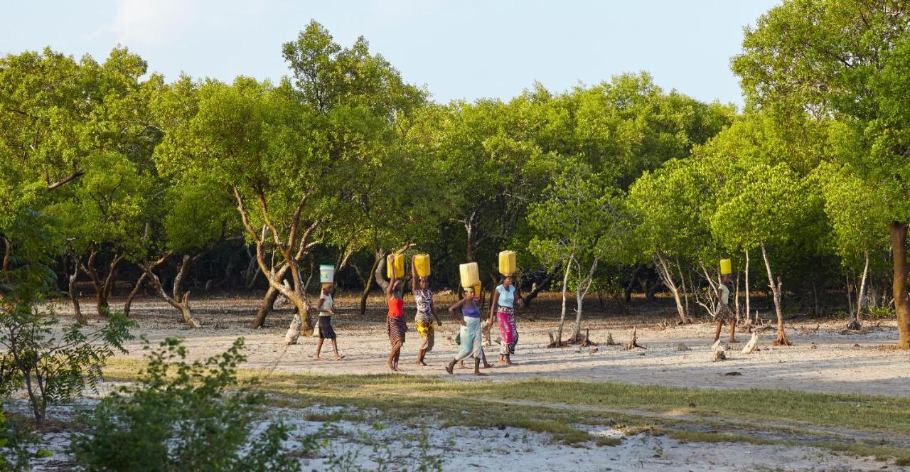 לינה וארוחת בוקר וואטאמו Mangrove View מראה חיצוני תמונה